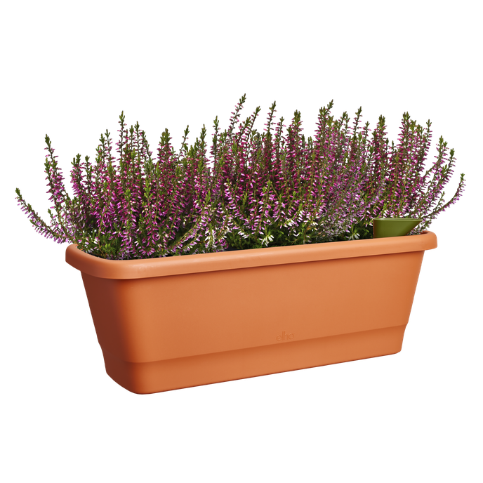 noa balkonkasten m terra